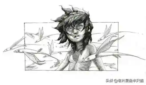 少年派的奇幻漂流(少年派隐喻深度解析)插图48