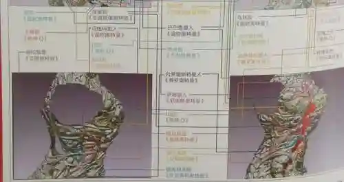 超银河传说(超银河决战免费观看国语)插图59