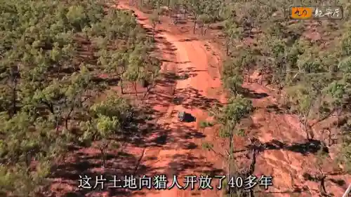 热血猎人 最强阵容搭配攻略(热血猎人兑换码)插图1