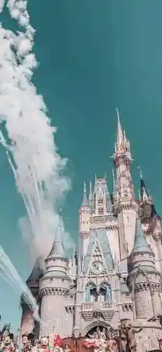 迪士尼城堡图片(上海迪士尼乐园门票价格)插图18