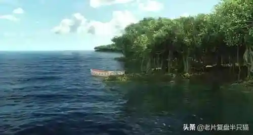 少年派的奇幻漂流(少年派隐喻深度解析)插图27
