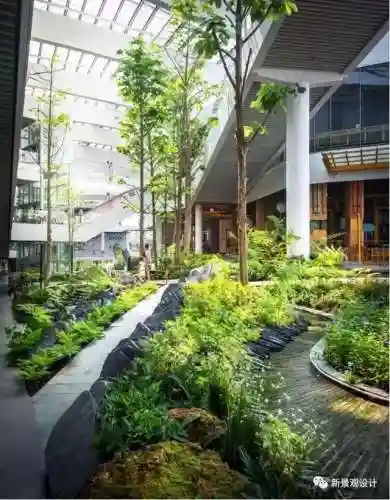 土丘五个打野阵容搭配(王者阵容搭配大全五黑)插图41 土丘五个打野阵容搭配(王者阵容搭配大全五黑)插图41