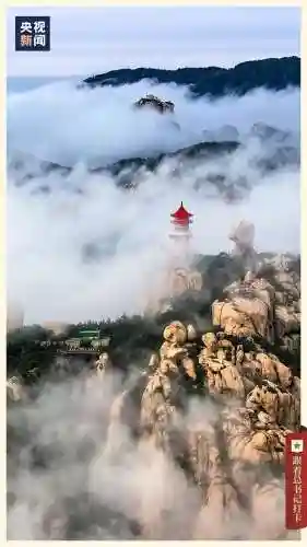 山中核一阵容搭配(桃园盾t0队伍搭配指南)插图31