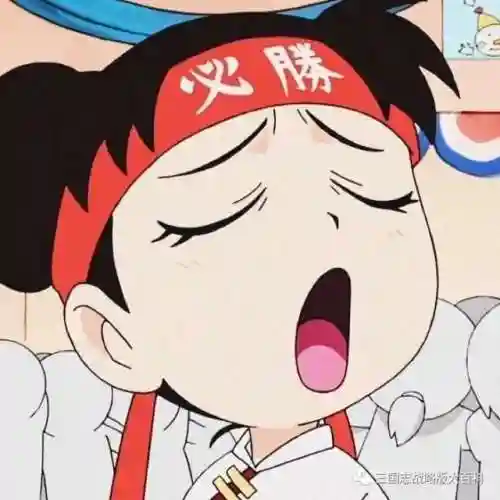魏延流氓战法搭配什么阵容(魏延阵容t0搭配)