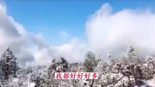 大秦赋太恶心了(大秦赋为何口碑崩塌)插图1