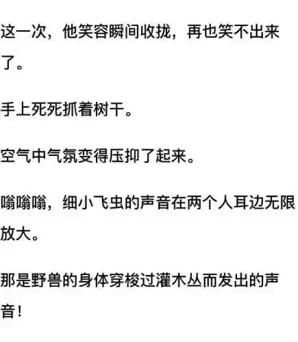 我和七个女神在荒岛求生(和女神们流落荒岛我为王免费阅读)插图39