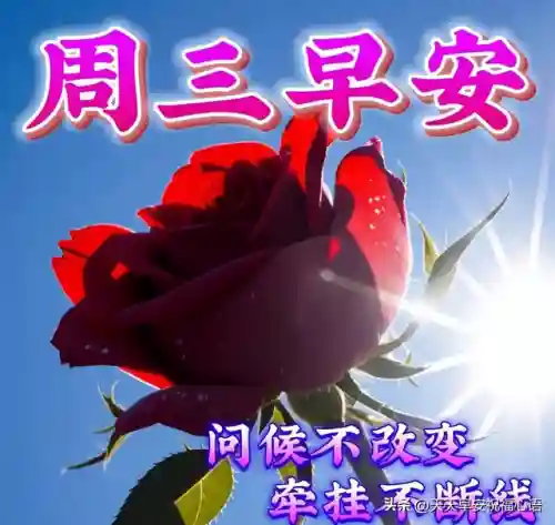 带来福气和好运的图片(女人好运吉祥微信头像图片)插图4