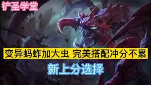蚂蚱适合搭配什么阵容打(元气骑士沙虫满配需要什么天赋)