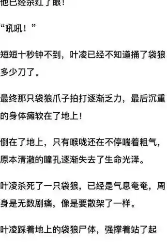 我和七个女神在荒岛求生(和女神们流落荒岛我为王免费阅读)插图56