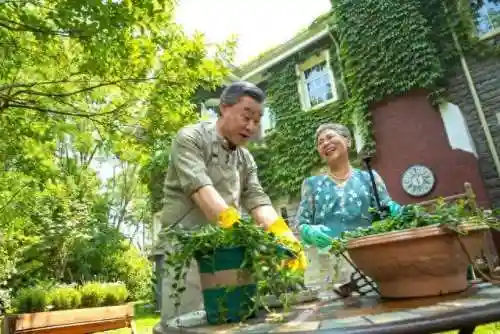 翻斗花园五黑阵容搭配(新版本6斗士阵容)