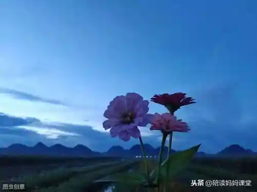 精致的反义词(精致的反义词是什么(最佳答案))插图4