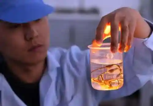 山中核一阵容搭配(桃园盾t0队伍搭配指南)插图24