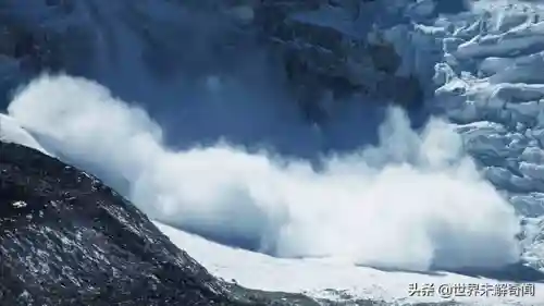 动物之战雪怪阵容搭配(动物大联盟伤害最高搭配)插图3 动物之战雪怪阵容搭配(动物大联盟伤害最高搭配)插图3
