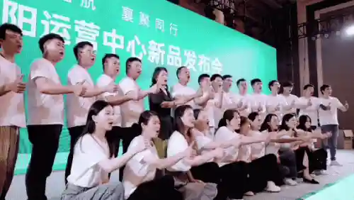诺米最佳阵容搭配(横扫千军平民最佳阵容)插图31