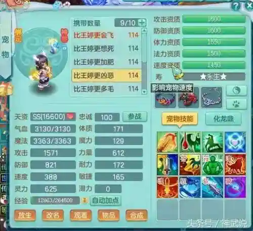 三神一仙阵容搭配(三排什么阵容最好)插图11