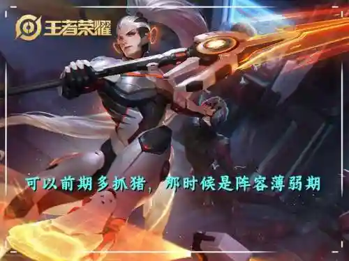 养猪流后羿 最强阵容搭配(后羿最强肉装出装)插图2