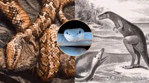 远古巨兽大复活(上古神兽饕餮电影免费)插图84 远古巨兽大复活(上古神兽饕餮电影免费)插图84
