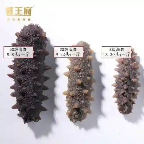 海参的吃法与做法(什么人不适合吃海参怎么吃)插图7