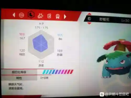 剑盾戏法空间阵容搭配(剑盾一周目阵容推荐)插图1