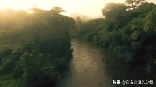 远古巨兽大复活(上古神兽饕餮电影免费)插图46 远古巨兽大复活(上古神兽饕餮电影免费)插图46