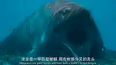 史前星球阵容搭配图表最新(走开外星人最强阵容)插图11