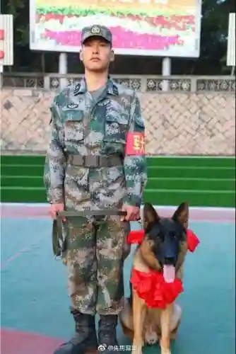 东部战区军犬阵容搭配最新(什么兵配军犬)插图1