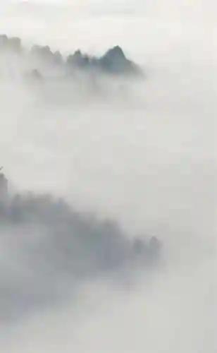 超好看的手机壁纸图片(手机壁纸图片女生专用)插图10 超好看的手机壁纸图片(手机壁纸图片女生专用)插图10