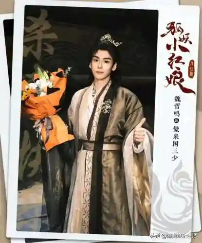 狐狸小红娘阵容搭配图片(狐妖小红娘全人物图片)插图4