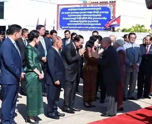 老太太阵容怎么搭配(全民僵尸大战军人全部阵容)插图2