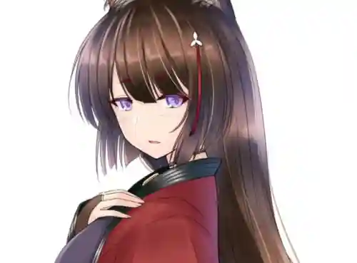 碧蓝航线天城阵容搭配(碧蓝航线各阵营介绍)插图3