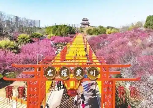 巨龙双排阵容怎么搭配(卧龙无敌后期阵容搭配)