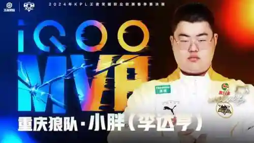 狼队小胖阵容搭配图(飞熊军最牛阵容)插图3