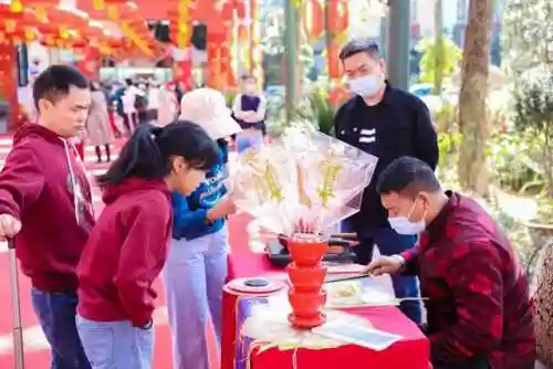 萌宠呈祥阵容搭配(萌宠训练师阵容推荐)插图3