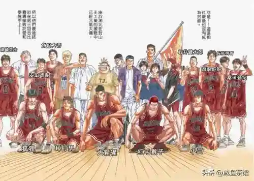咸鱼之王小哥阵容搭配图(咸鱼之王)插图1