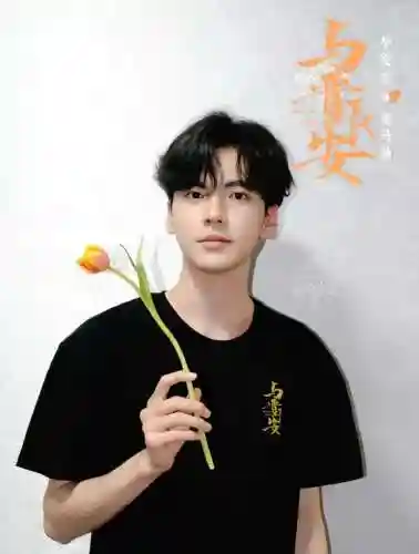全明星古装阵容搭配推荐(武侠大明星阵容推荐)插图11