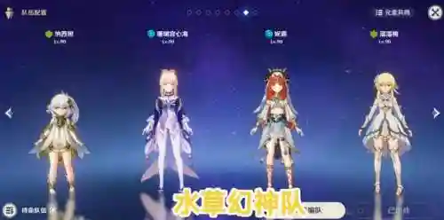 将军深渊阵容怎么搭配最强(原神深渊t0阵容)插图2