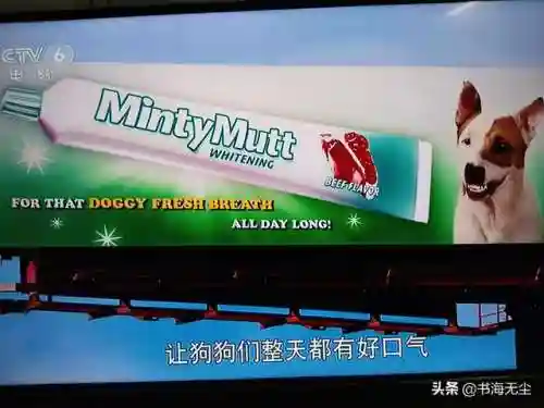 龙妈加狗子阵容搭配(云顶之弈奶妈主c阵容)插图17