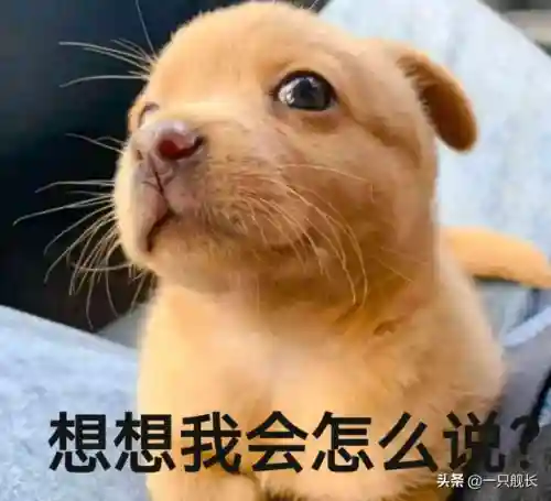 崩坏二灾祸搭配阵容推荐(崩坏学园2新版本最强搭配)插图1