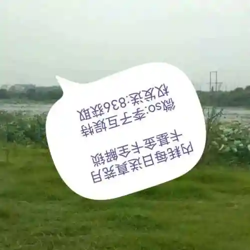 热血对决阵容搭配推荐图(欢乐对决炎龙阵容详解)插图2