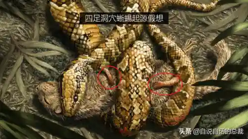 远古巨兽大复活(上古神兽饕餮电影免费)插图81 远古巨兽大复活(上古神兽饕餮电影免费)插图81