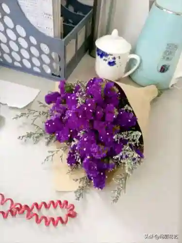 勿忘我花语和寓意及图片(勿忘我花发朋友圈)
