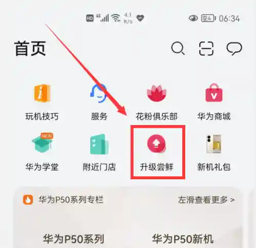 荣耀手机怎么升级鸿蒙系统(magic系统和鸿蒙谁好)插图11