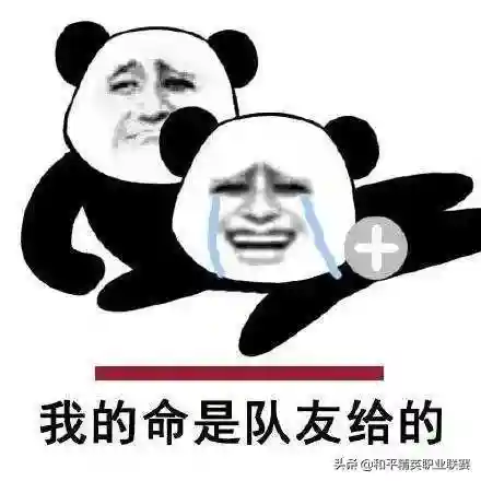 伞兵最佳阵容搭配图(伞兵与空降兵的区别)