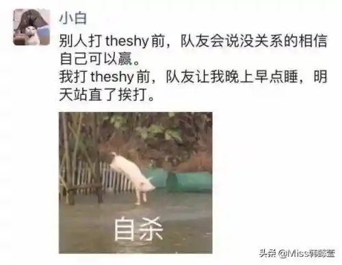究极抗压阵容搭配(宝可梦t0阵容)插图3
