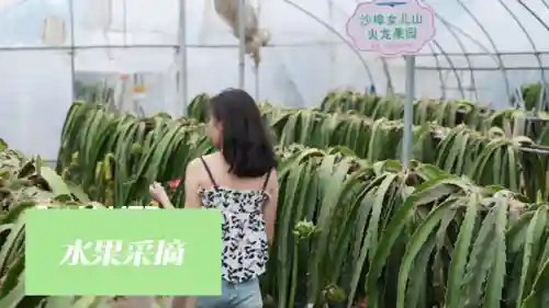水果消消乐连连看(下载单机连连看)插图6