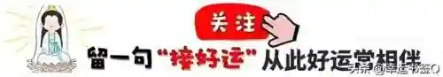 勇者无畏阵容搭配图鉴最新(勇者斗恶龙英雄集结2最强阵容)