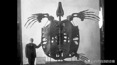 远古巨兽大复活(上古神兽饕餮电影免费)插图19 远古巨兽大复活(上古神兽饕餮电影免费)插图19