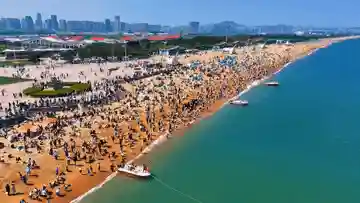 山中核一阵容搭配(桃园盾t0队伍搭配指南)插图4
