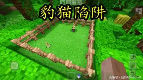 我的世界豹猫怎么驯服(豹猫冒爱心但是驯服不了)插图3