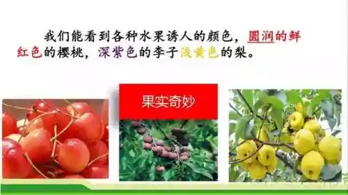 奇妙的近义词(奇妙的近义词是什么(最佳答案))插图39